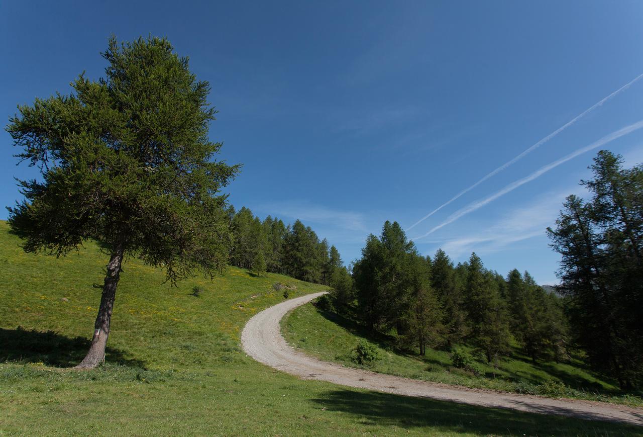 Les Hauts Des Auches อองเซลล์ ภายนอก รูปภาพ